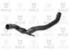 VW 6X0122101C Radiator Hose
